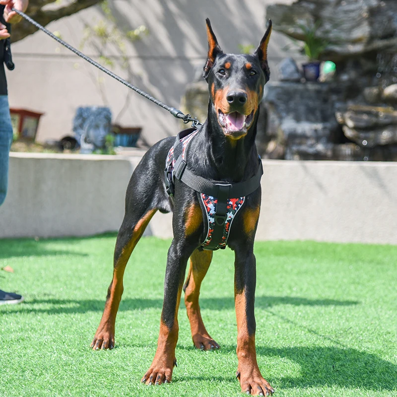 Sad74d31e8f9d4e93afa87885b0d0beb50