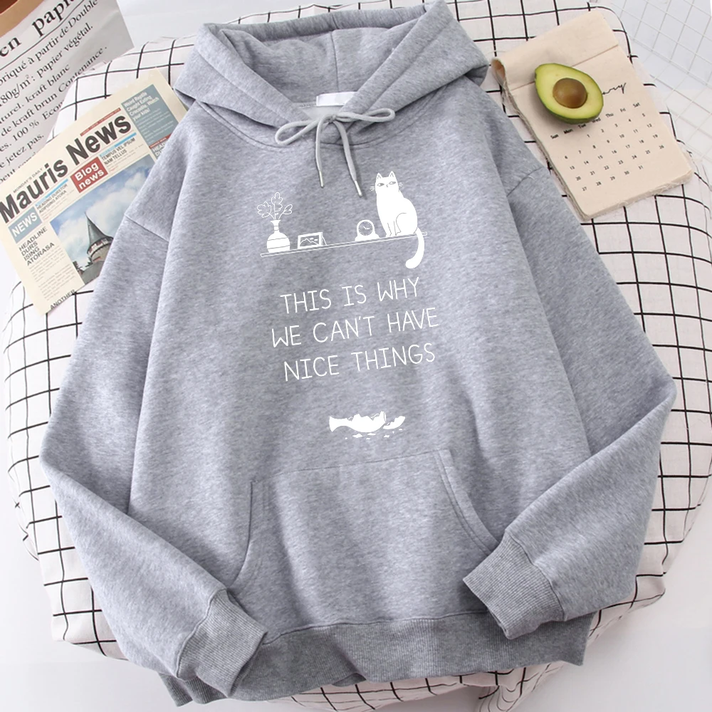 

This Is Why We Can'T Have Nice Things Print Hoodies Men'S Vintage Sport Sweatshirt Gorgeous Graphic Top Funny Fashionhoodie Mens