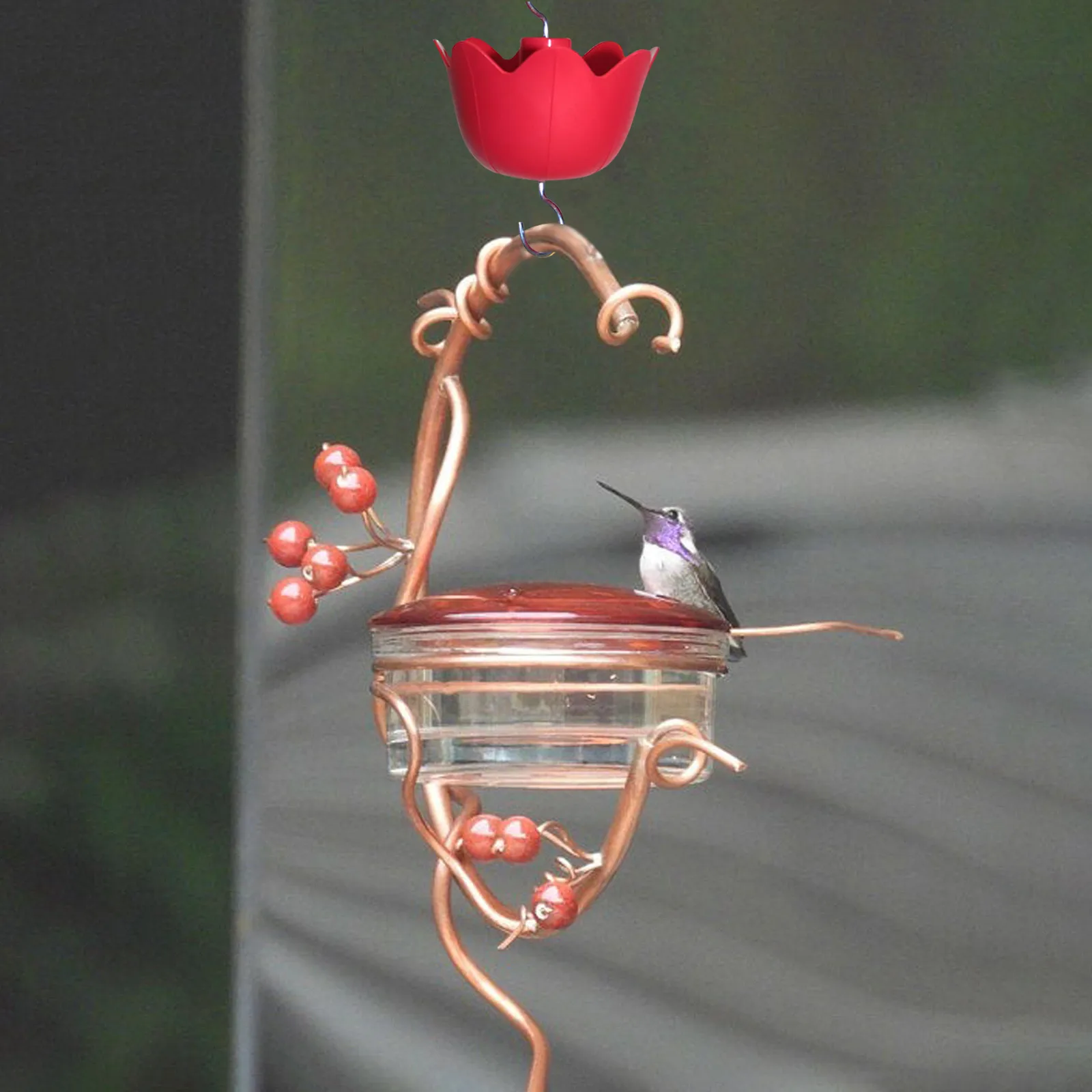 Flower Ant Moat Hummingbird Feeder Nectar Feeders Hooks Insect Guards