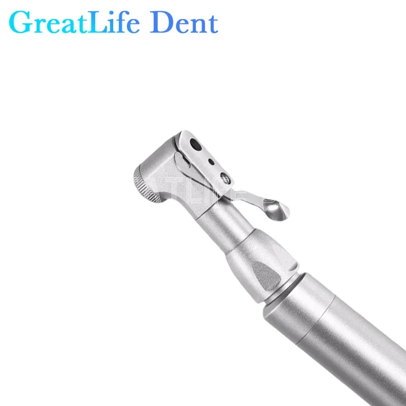 GreatLife 덴트 치과 장비, 핸드피스 수술 지대치 도구 드라이버, 치과 임플란트 토크 렌치, 12 나사