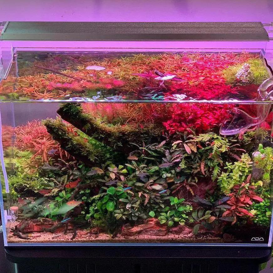 주간 수중 조명, 디밍 가능 LED 어항 조명, 4채널 제어 RGB+UV 조명, 담수 식물용