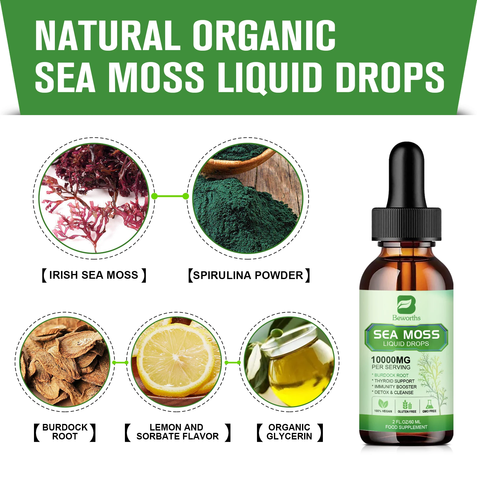 BEWORTHS Organic Seamoss Drops with Burdock Root and Spirulina Support Immunity and Gut Health, Help Digestion Weight Management - Image 3