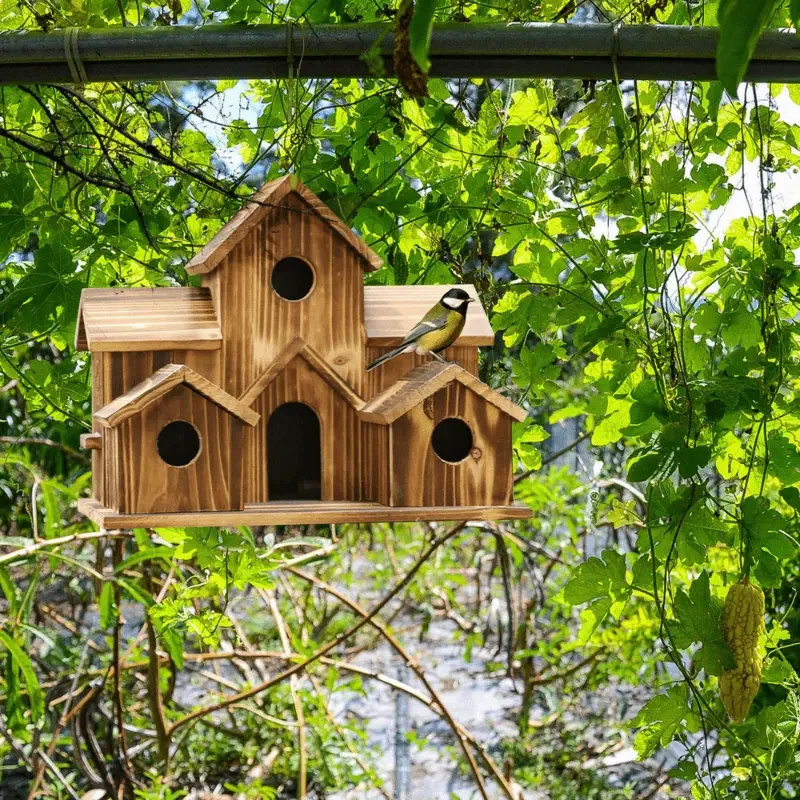 Bird Mirror Toy with Perch Stand 4