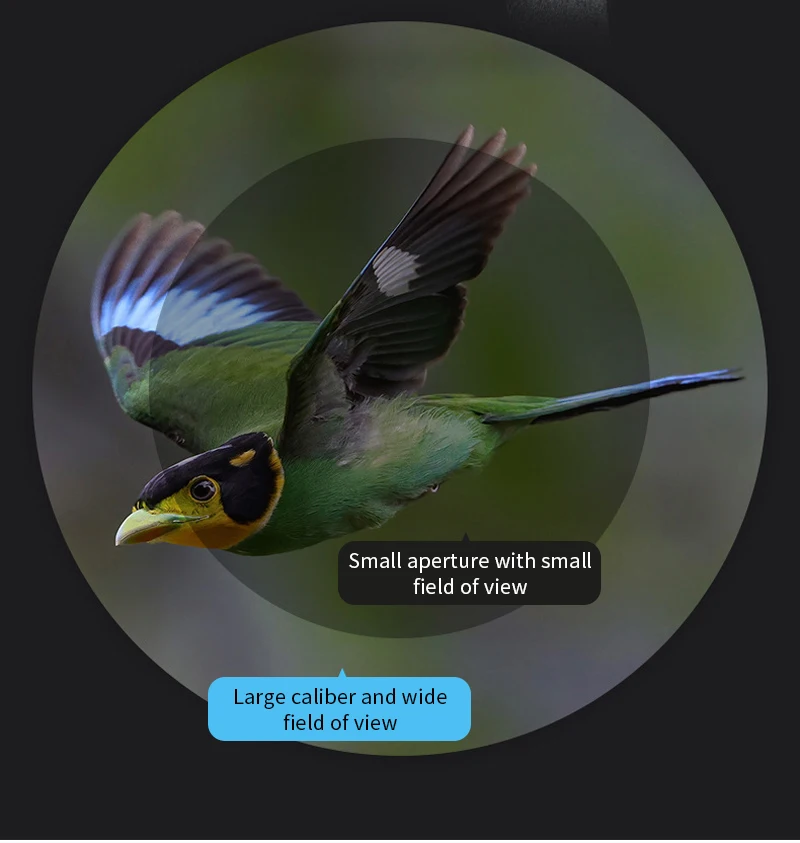 Sad8771bc07d44c92b8d11df99b2f9e22I 25-75x6 0 luneta Zoom monokularowy potężny teleskop Bak4 pryzmat obiektyw ED do fotografowania ptaków na świeżym powietrzu