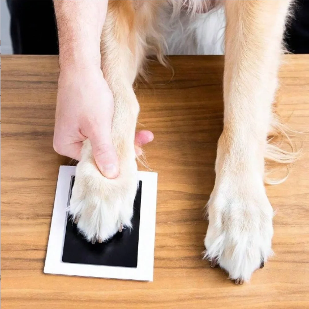 Pet Print Kit Handprint and Footprint Pad with Impression Cards For Babies and Pets