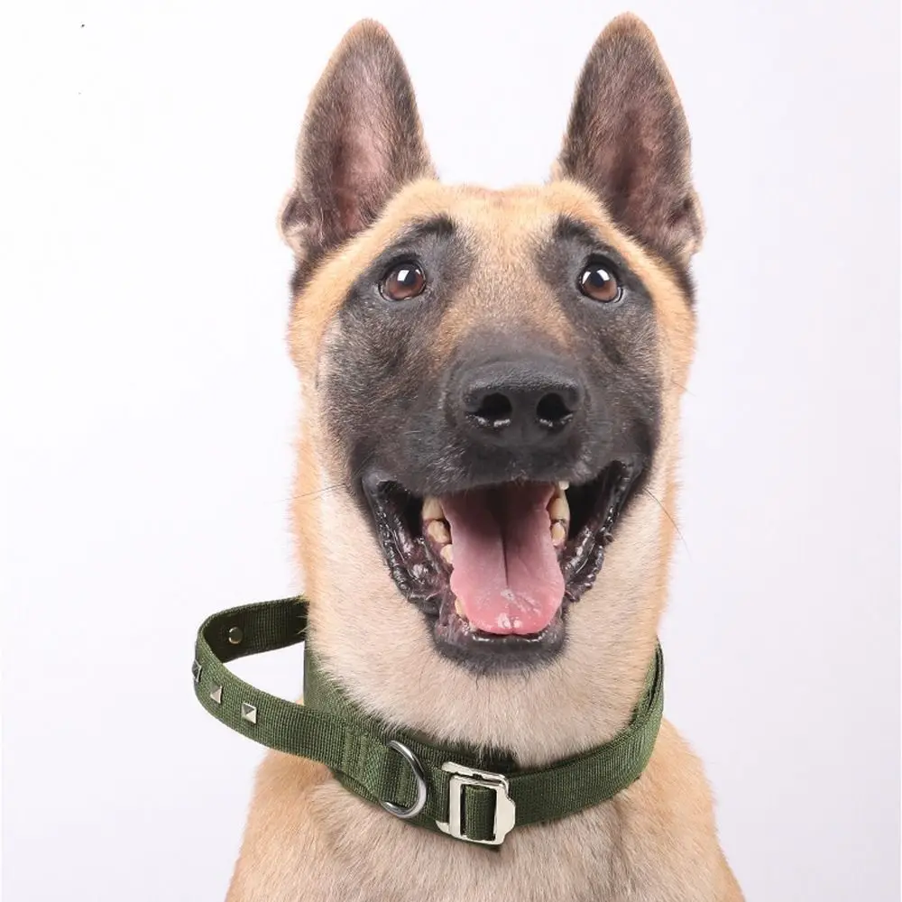 Durable & Breathable Adjustable Metal Buckle Dog Training Collar