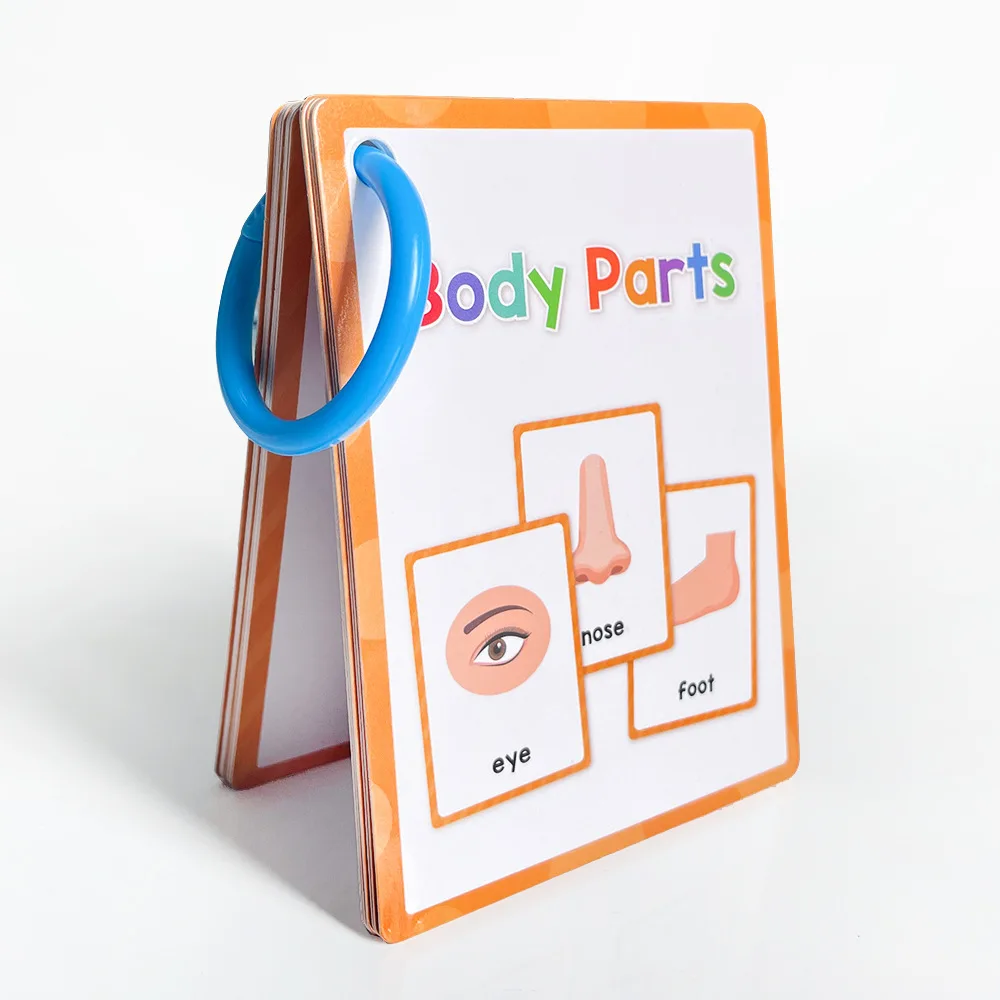 Montessori English Learning Cards 4
