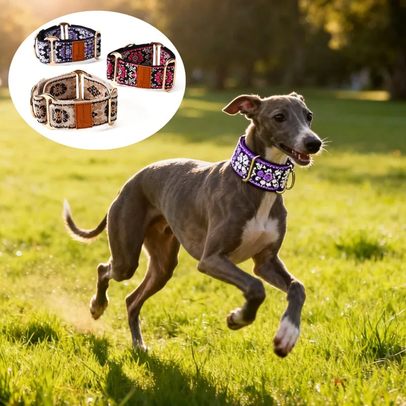 Ethnic Style Adjustable Martingale Dog Collar - Beautiful Design Accessory
