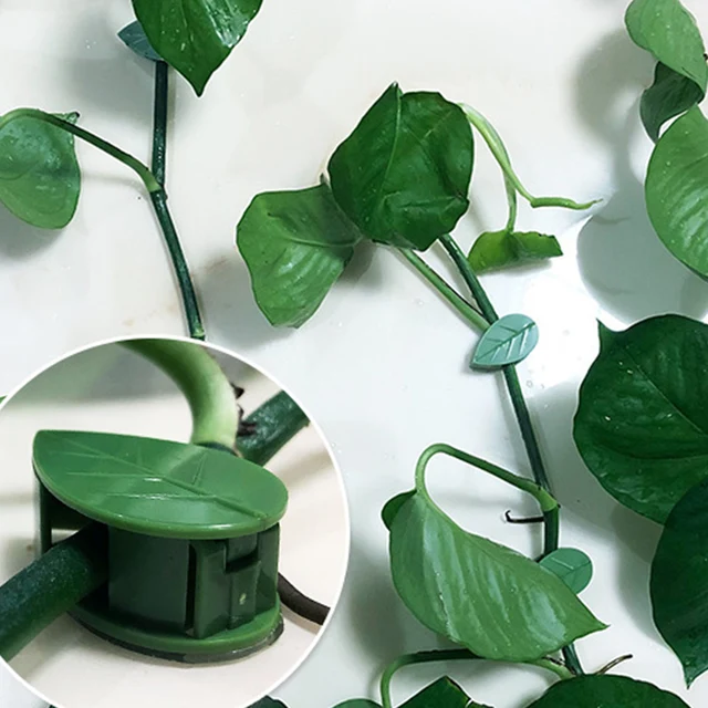10 Darab Növényi Bilincsek Levél Alakú Fali Hegymászó Lámpatest Tartozók Tartozékok