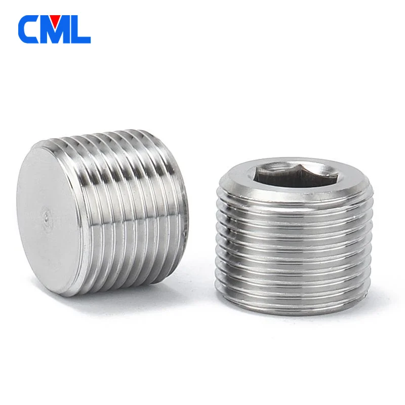M8 M10 M12 M14 M16 M18 M20 M22 M24 Metric Fine External Thread 304 SS Inner Hexagon Socket Allen Head Bolt End Cap Plug Stop