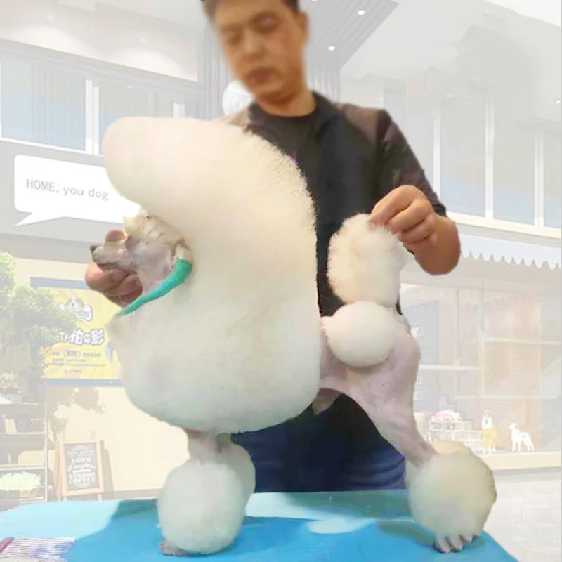 Pet Grooming Smock Pet Groomer Work Clothes Waterproof And Breathable hair-proof Pet Shop Work Clothes Grooming Apron Long Sleeve G1031 pet grooming smock