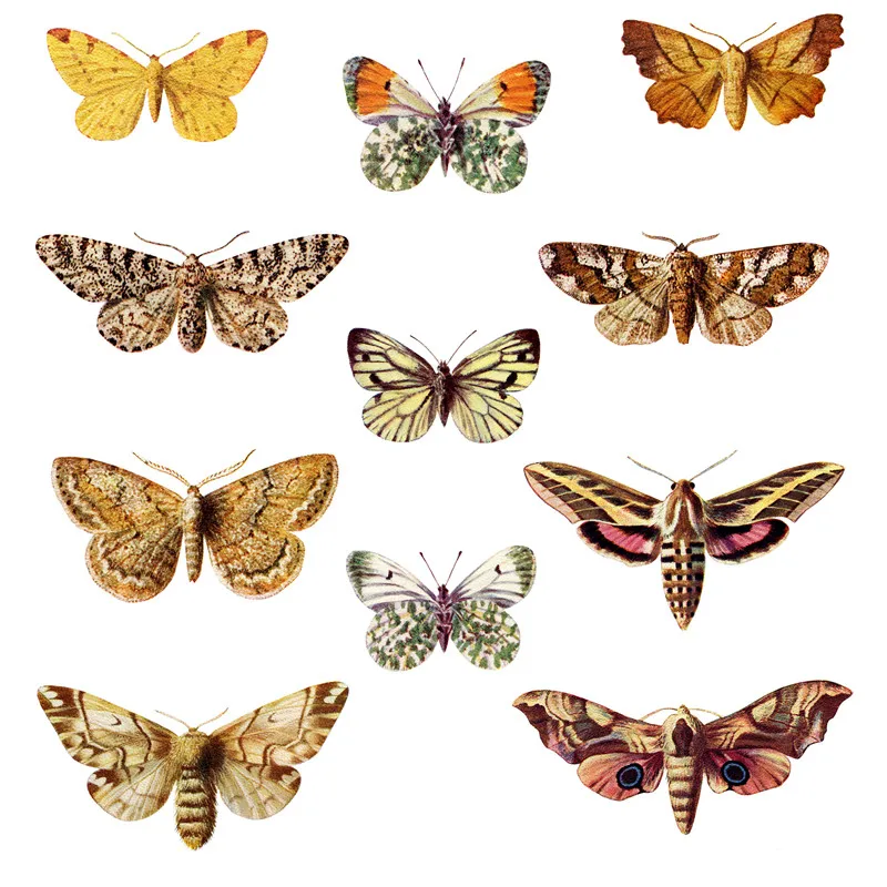 

10Pcs/Pack Vintage Retro Butterfly Atlas Sticker DIY Craft Scrapbooking Album Junk Journal Decorative Stickers