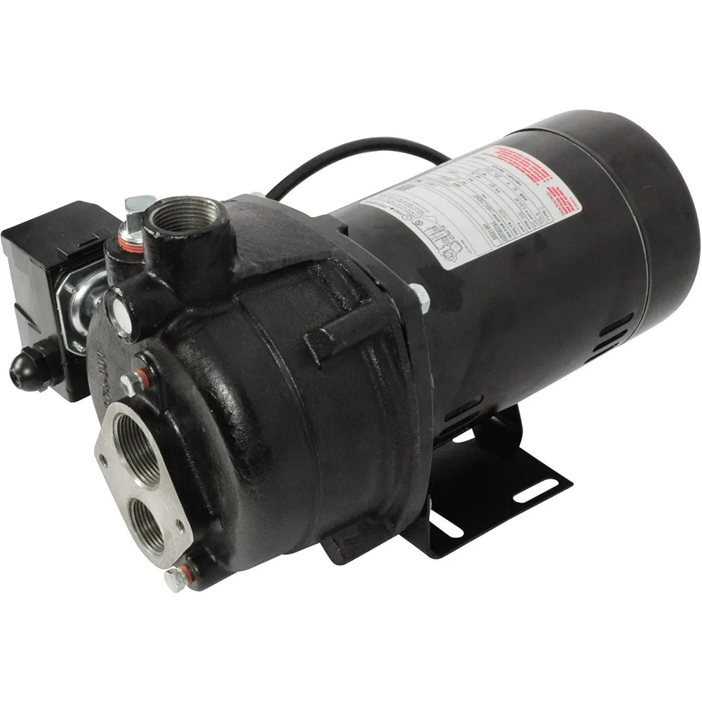 Wayne CWS100 1 Horsepower Cast Iron Jet Well Pump with 588 GPH Capacity - Heavy Duty, Black