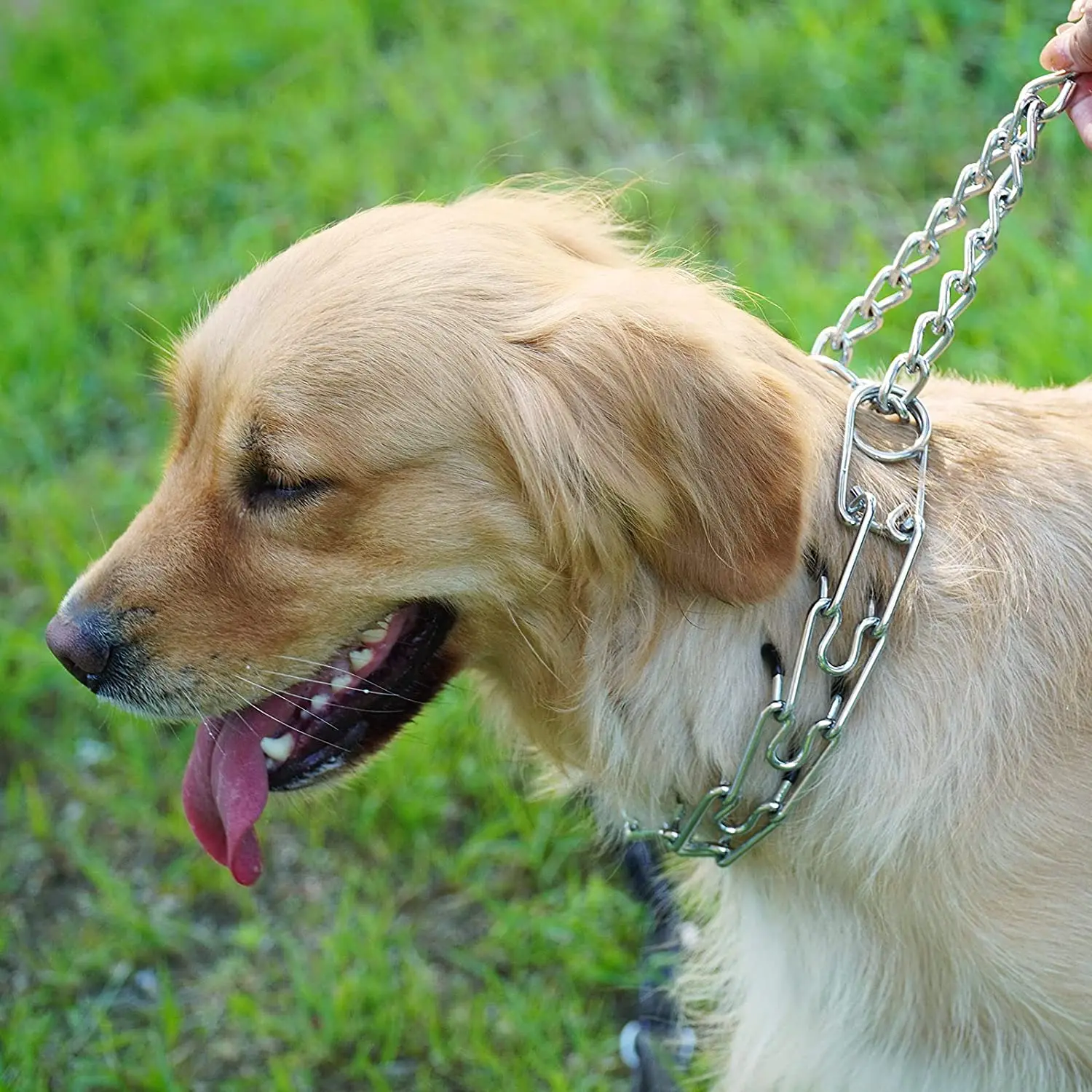 Dog Collar Pet Collar Dog Anti Pull Training Collar Adjustable Multi-size Metal Prong Training Choke Pinch with Rubber Tips Pet Supply