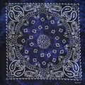 Dye Navy blue