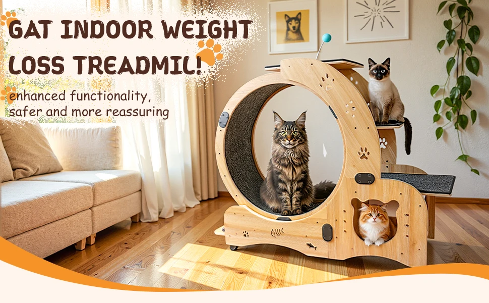 cat Wheel
