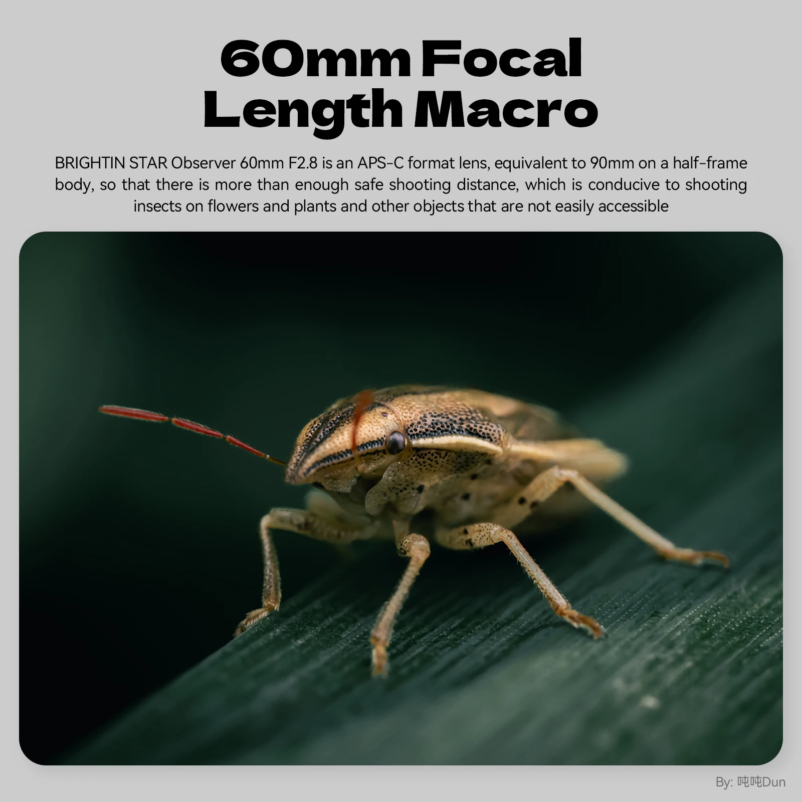 新品同様Brightin Star 60mm f2.8 2倍拡大 APS-C 新品同様Brightin Star 60mm f2.8 2倍拡大 APS-C 【公式通販】