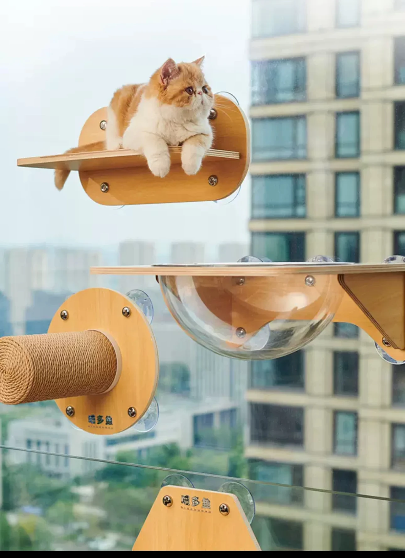 

Подвесное гнездо для кошек, кошачий гамак на окошке, настенный гамак на присоске, не требует пробивания отверстий