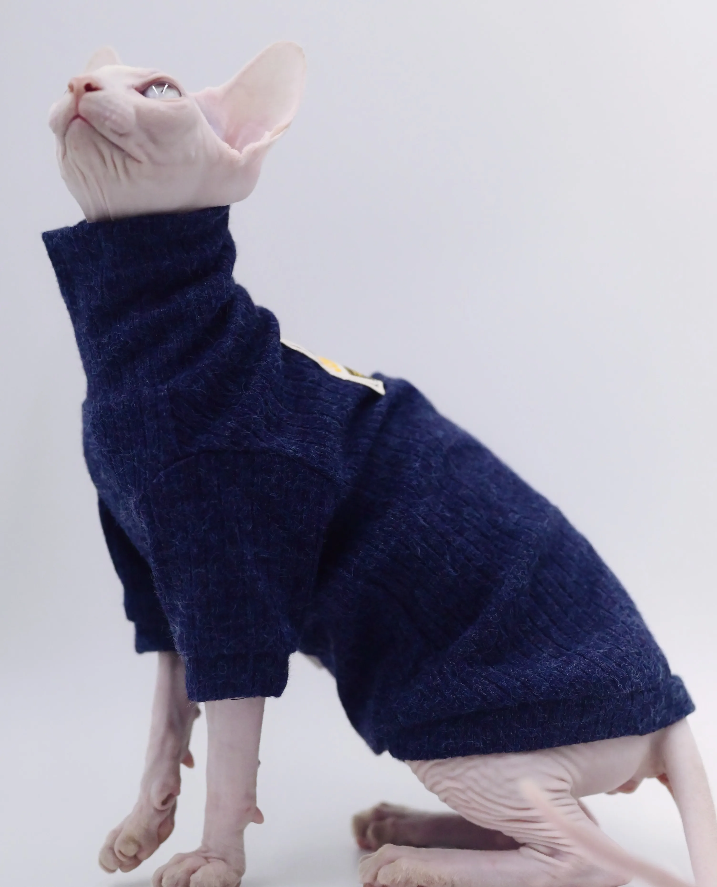 Cat & Dog Clothing