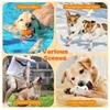 Bite Resistant Solid Dog Ball Toys for Small Dogs High Elasticity E-TPU Pet Chew Ball Toy Non Squeak Interactive Puppy Toy 3