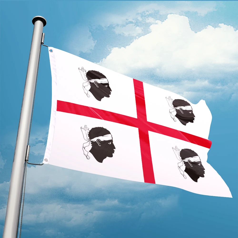 Bandiera Italia Italia Italia 3Ft X 5Ft Banner In Poliestere Volante 90*150Cm Doppia Penetrazione Personalizzata Per Interni All'Aperto Resistenza Per