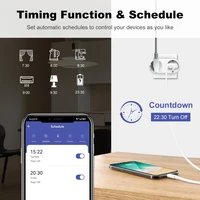 Tuya WiFi Dual Outlet 16A APP Smart Plug 2 in 1 Socket EU with Energy Metering Timer Function Works with Alexa Google Controlled - Image 5