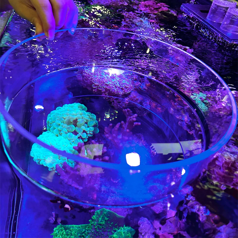 Acrylic aquarium surface coral observation mirror photography mirror anti-interference magnifying glass,aquarium observation mirror