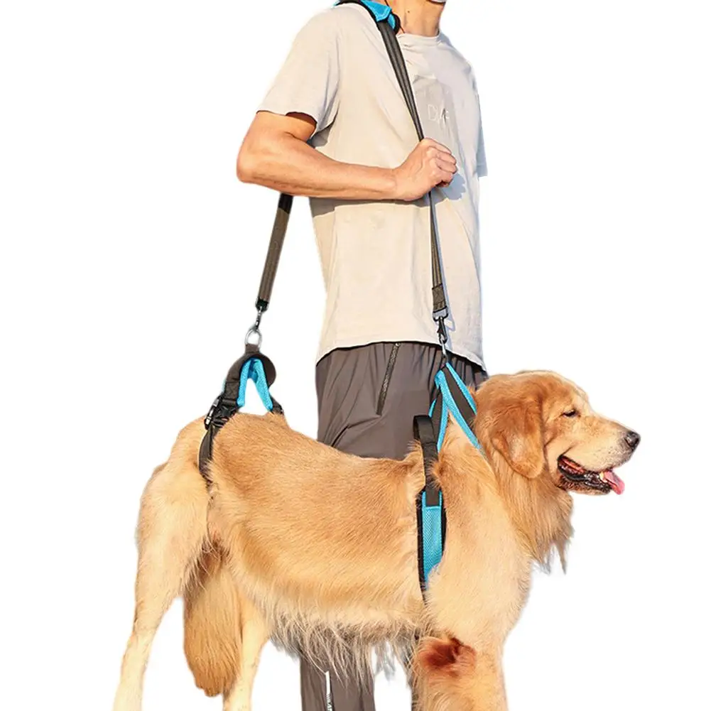 Lifting Harness For Dogs Pet Harness Rear Lifting Harness With Shoulder
