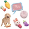 9-piece set of squeaking puppy toys, cute multi-color design, can bite at any time, suitable for small dogs 6