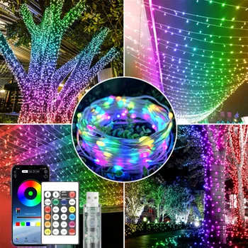 5M~20M 5V USB WS2812B Bluetooth LED String Fairy Lights Dreamcolor RGB IC DIY Party Festival Tree Lights Wedding Decoration Lamp 1