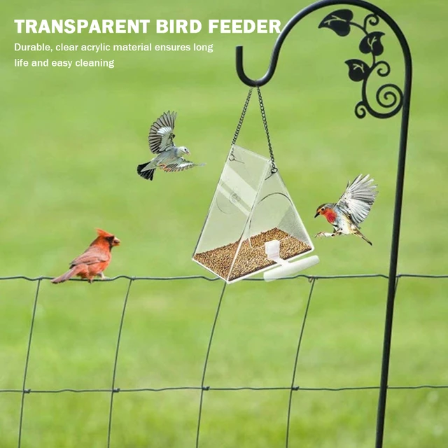 LUJII Mangeoire à oiseaux transparente colorée avec ventouse puissante,  toute une pièce super robuste, design dos nu pour une visualisation  dégagée