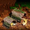 Creative Reptile Terrarium Turtle Accessories Basking Platform Rest Cave Resin Climb Toy Aquarium Decoration Decor Crawling Pets 4