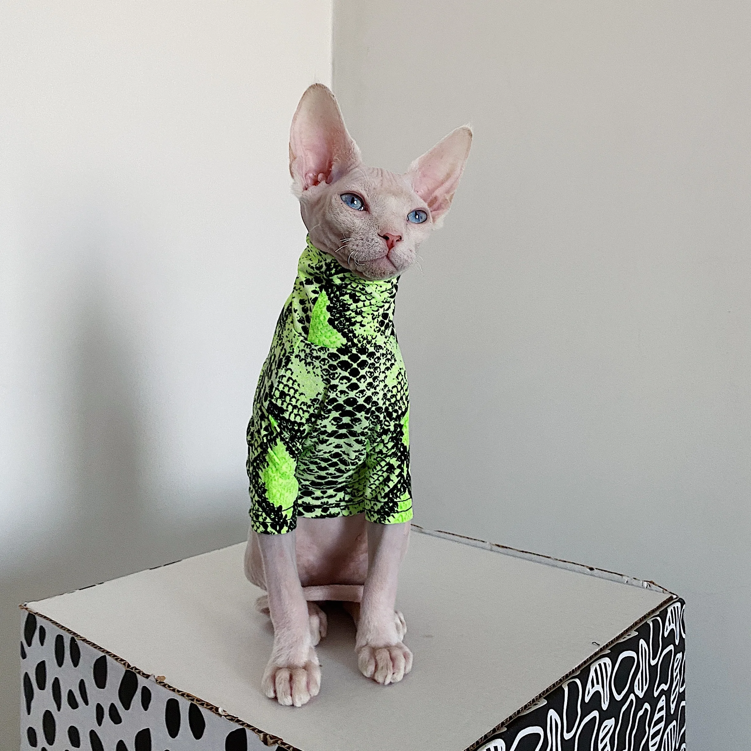 Sphinx Cat Shirt Pattern for XS - 3XXL Sizes - Cat Clothes Pattern - Cat  Clothing - Sphinx Clothes Pattern - Sew Outfits for Your Small Pets
