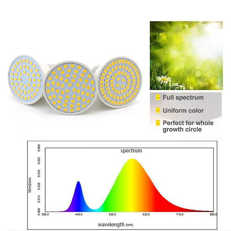 Luz solar de espectro completo para cultivo de plantas y flores, lámpara Phyto, Clip de escritorio, amarillo, Fitolamp, invernadero, 3 cabezales, 80led