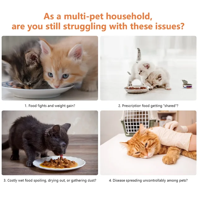 Smart Pet Feeder Sensor Recognition Automatic Cat Feeder With WIFI App Control Accurate Pet Food Dispenser Anti-snatch Feeder 6