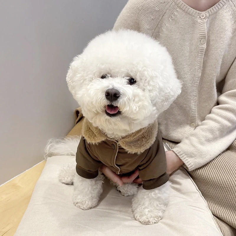 

Pet Teddy Thickened Cotton Coat Warm Two Legged Clothes Compared to Bears Schnauzer Down Coat Dog Cartoon Button Up Shirt