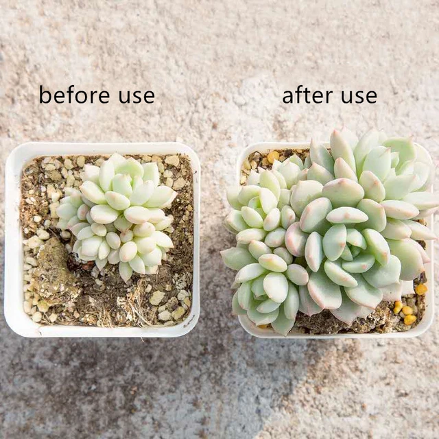 Home Gardon Slow Release Műtrágya Virágnövények Számára Zamatos Havi Rózsa Univerzális Bonsai Gyümölcsök Zöldségek 125 G - Image 2