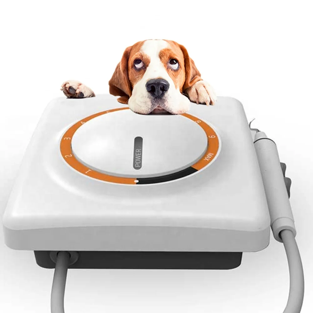 

Vet Electric Ultrasonic den tal Scaler Veterinary Portable den tal Scaling for Animals