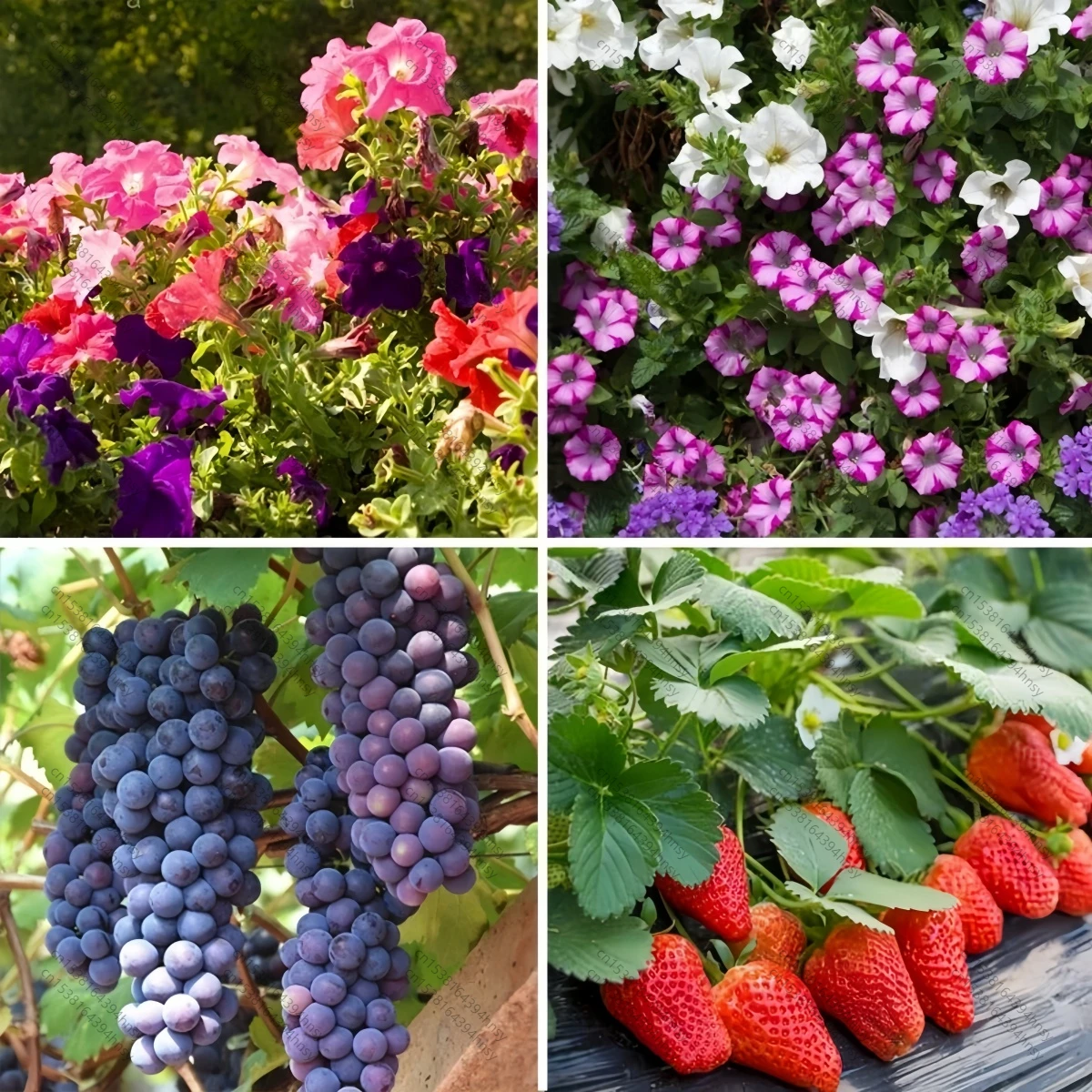 Slide image ba24ddbfccb642d6aa1de15b0fe044d2