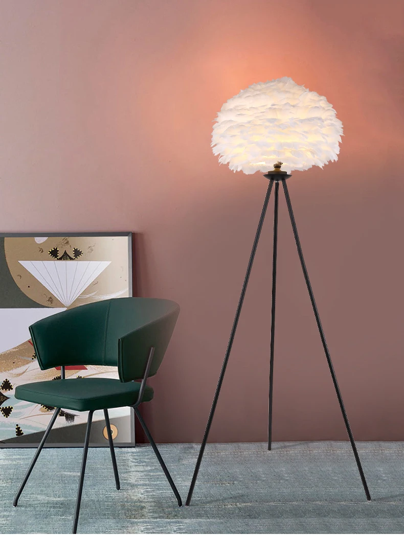 

Fashion feather floor lamp