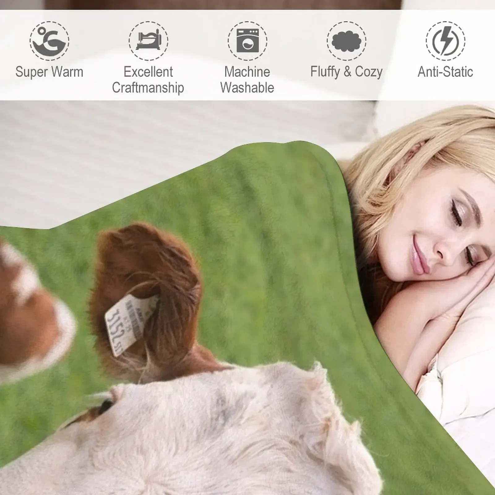 ������ ������ ���, ǫ���� ���� ���� ��� ���