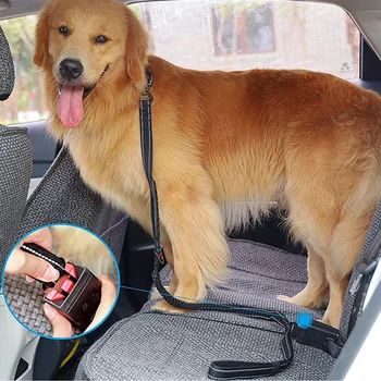 Nylon reflective multi-functional retractable Shock Absorbing retractable dog leash with car safety buckle Pet Traction Rope 2