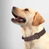 Soft Durable Real Leather Dog Collar Genuine Leather Pet Collars for Small Medium Large Dogs German shepherd Brown Black 3