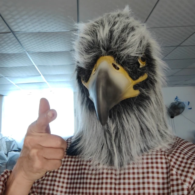 Masque Aigle WRITWAA - Déguisement Halloween Demi-visage Réglable