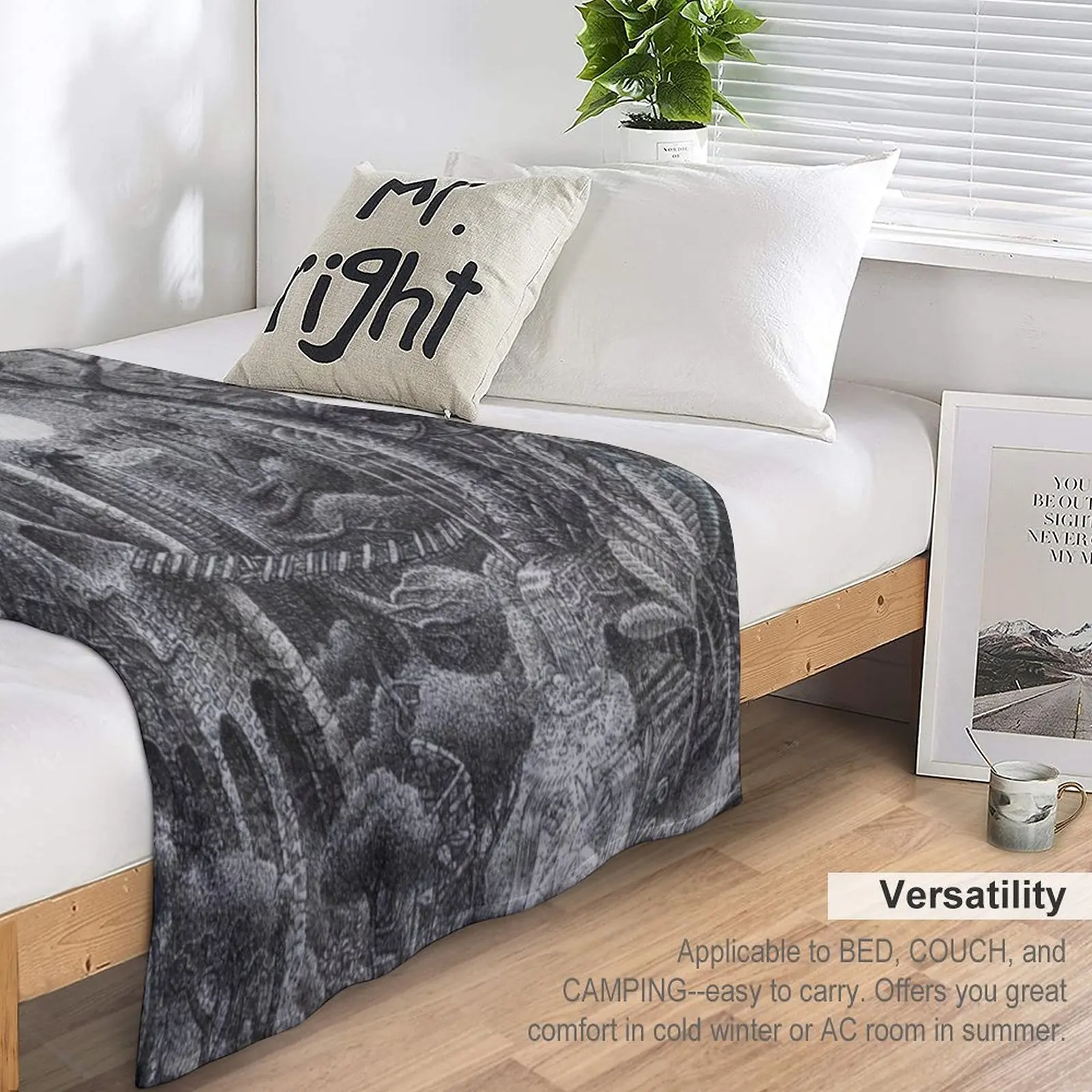 Ǯ Ʈ�� �� ������ ���, ������ �ܿ� �ö��� ����,  ���� ���