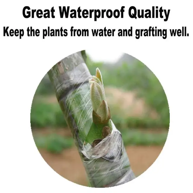 3/4*200 M-Es Óvodai Oltó Szalag Tekercs Nyújtható Ön Adagoló Növény Metszése Parafilm Lebontható Átlátszó Kerti Film - Image 6