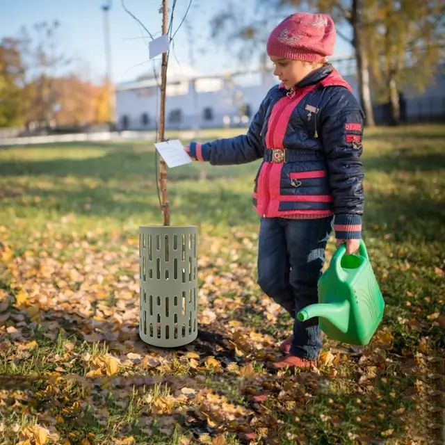 3 Dcs Növényi És Fatörzs -Védőkatartó Függőlegesen Vízszintesen A Különféle Méretű Fák Esetében Kéreg Növényvédők Zöld - Image 2