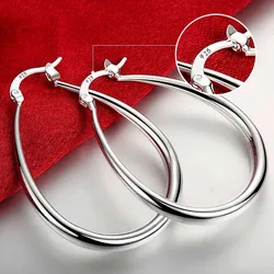 Elegant 18K Gold - Plated Silver Hook Earrings - Chic Fashion Jewelry (SILVER COLOR)