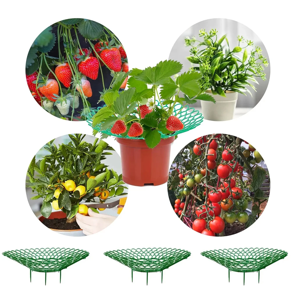 2/5/10Pcs Strawberry Support Stands with 3 Sturdy Legs Strawberry Growing Racks Berries Growing Frame Holder for Garden Homegrow plastic plant supports,plant support racks