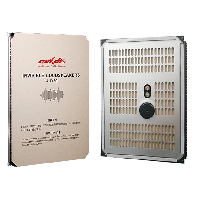 Wireless Wall Mount Invisible Speaker Hifi Sound Audio Background Music System In Wall Invisible Speakers For Home Theatre